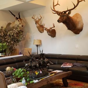 Meet your Posher, Eduardo